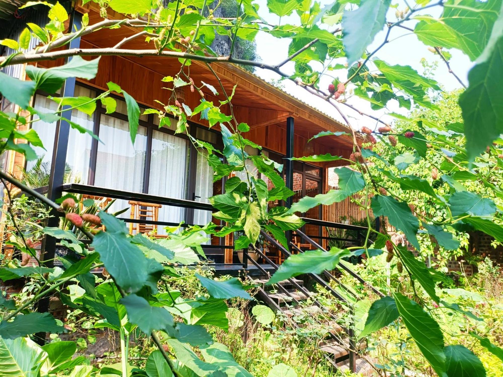 땀꼭 선샤인 홈스테이 닌빈 외부 사진